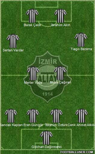 Altay Formation 2014