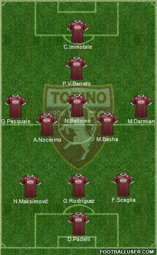 Torino Formation 2014