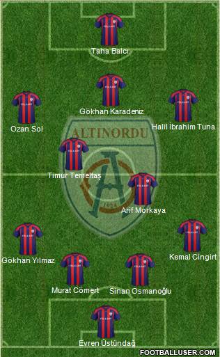 Altinordu Formation 2014
