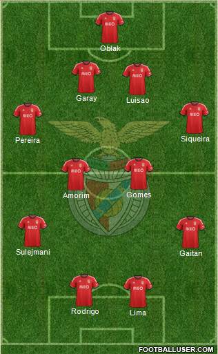 Sport Lisboa e Benfica - SAD Formation 2014