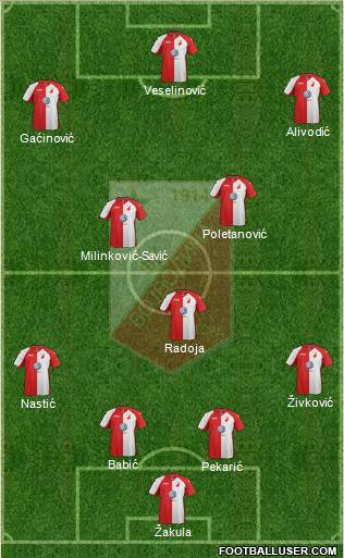 FK Vojvodina Novi Sad Formation 2014