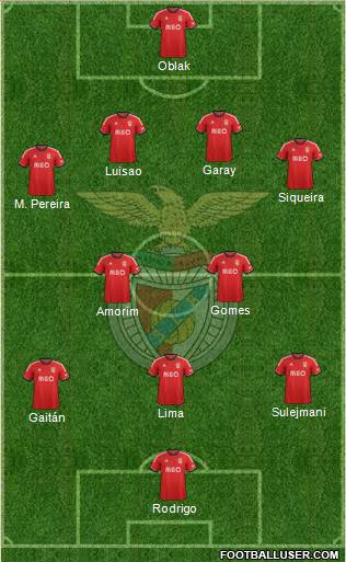 Sport Lisboa e Benfica - SAD Formation 2014