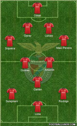 Sport Lisboa e Benfica - SAD Formation 2014