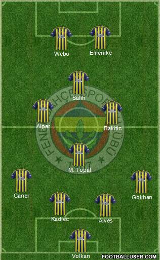 Fenerbahçe SK Formation 2014