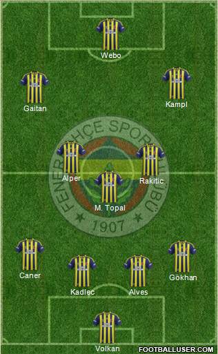 Fenerbahçe SK Formation 2014