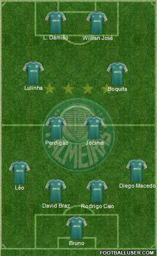 SE Palmeiras Formation 2014