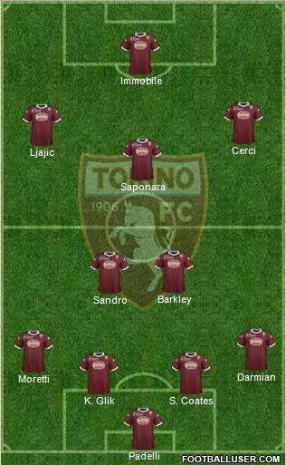 Torino Formation 2014