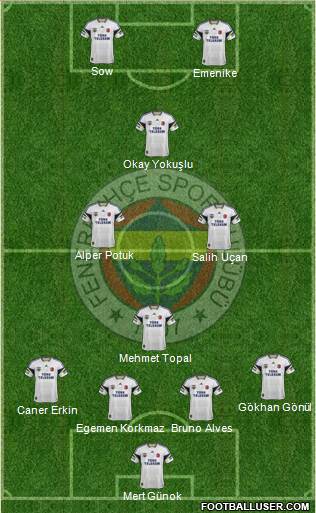 Fenerbahçe SK Formation 2014