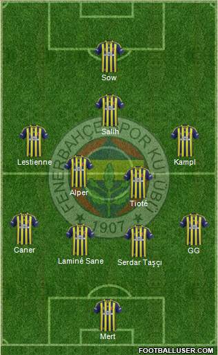 Fenerbahçe SK Formation 2014