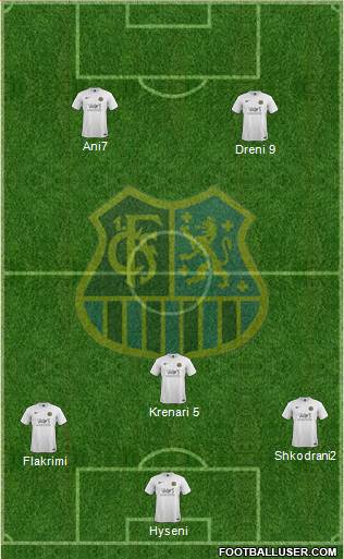 1.FC Saarbrücken Formation 2014