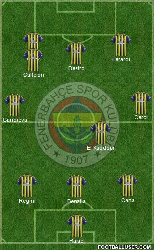 Fenerbahçe SK Formation 2014