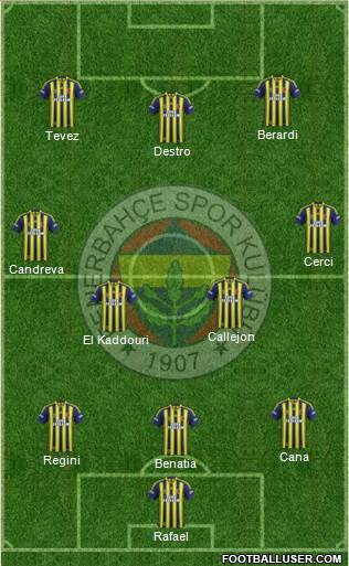Fenerbahçe SK Formation 2014