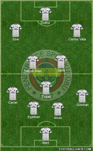 Fenerbahçe SK Formation 2014