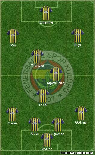 Fenerbahçe SK Formation 2014