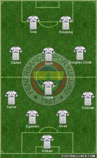 Fenerbahçe SK Formation 2014