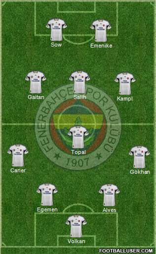 Fenerbahçe SK Formation 2014