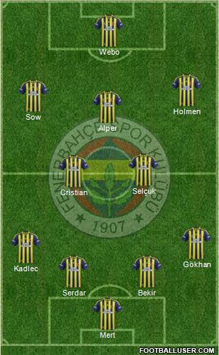 Fenerbahçe SK Formation 2014