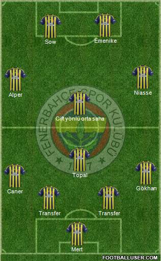 Fenerbahçe SK Formation 2014