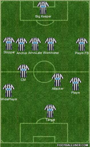 Newcastle United Formation 2014