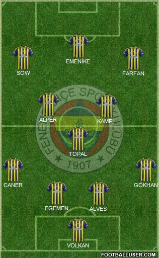 Fenerbahçe SK Formation 2014