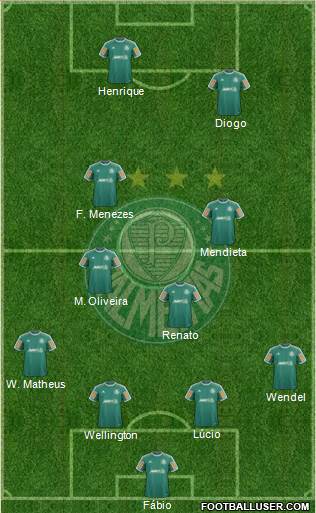 SE Palmeiras Formation 2014