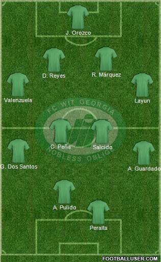 WIT-Georgia Tbilisi Formation 2014