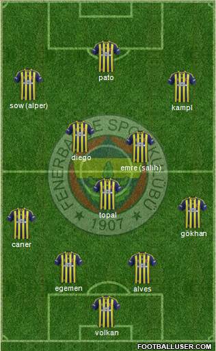 Fenerbahçe SK Formation 2014