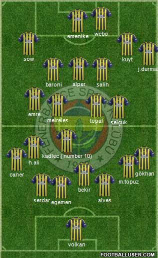 Fenerbahçe SK Formation 2014