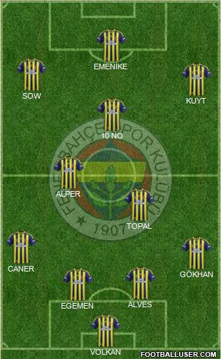 Fenerbahçe SK Formation 2014