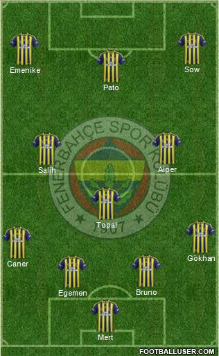 Fenerbahçe SK Formation 2014