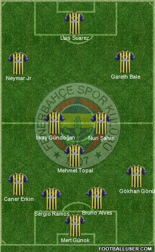 Fenerbahçe SK Formation 2014
