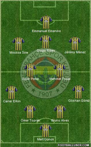 Fenerbahçe SK Formation 2014