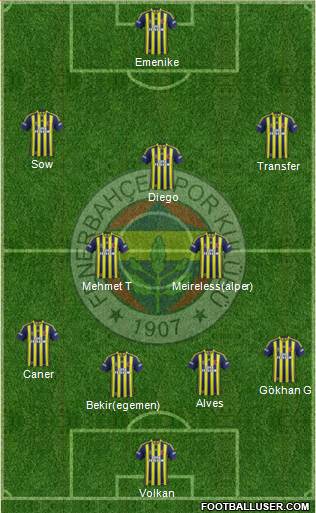 Fenerbahçe SK Formation 2014