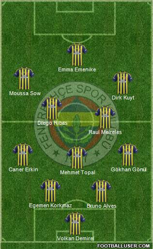 Fenerbahçe SK Formation 2014