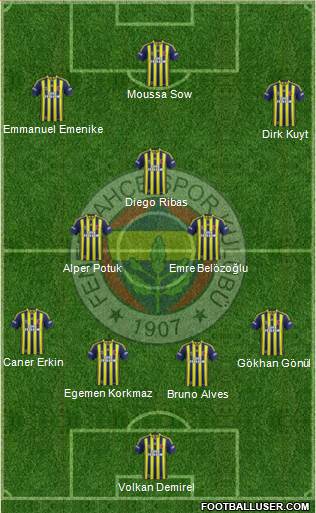 Fenerbahçe SK Formation 2014