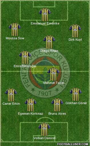 Fenerbahçe SK Formation 2014