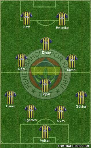 Fenerbahçe SK Formation 2014