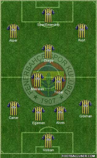 Fenerbahçe SK Formation 2014