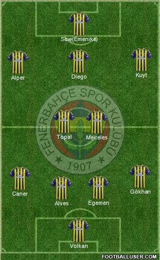 Fenerbahçe SK Formation 2014