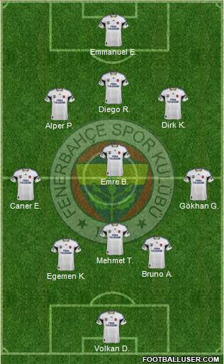 Fenerbahçe SK Formation 2014