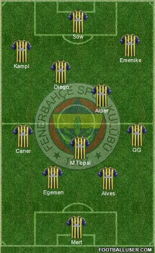 Fenerbahçe SK Formation 2014