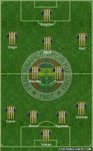 Fenerbahçe SK Formation 2014