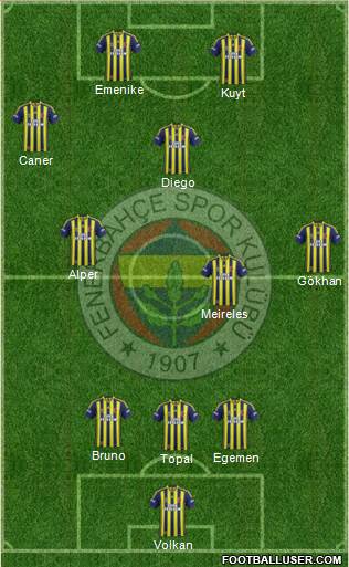 Fenerbahçe SK Formation 2014