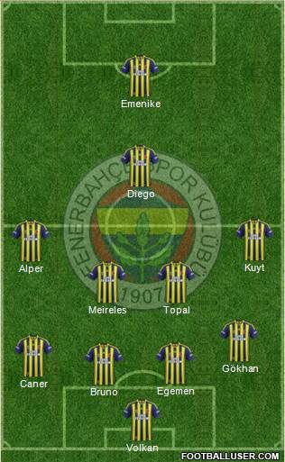 Fenerbahçe SK Formation 2014