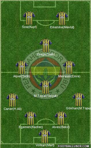 Fenerbahçe SK Formation 2014