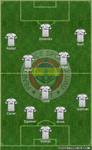 Fenerbahçe SK Formation 2014