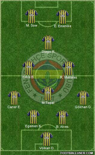 Fenerbahçe SK Formation 2014