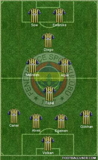 Fenerbahçe SK Formation 2014