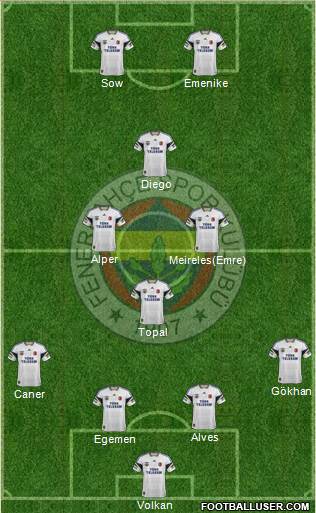 Fenerbahçe SK Formation 2014