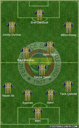 Fenerbahçe SK Formation 2014